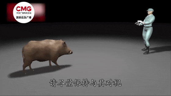 街头横冲直闯<strong></p>
<p>币全交易平台</strong>，抱娃女子被撞伤，警方：已被特警击毙