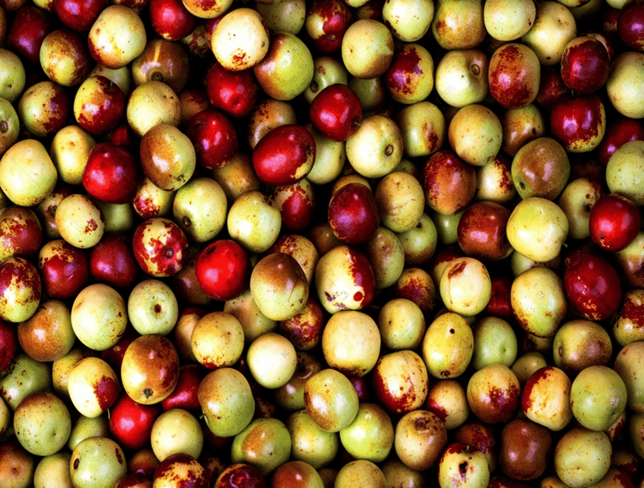 “含糖量”极高<strong></p>
<p>币兑交易平台</strong>！解锁“北方水果公园”山西万荣的甜蜜