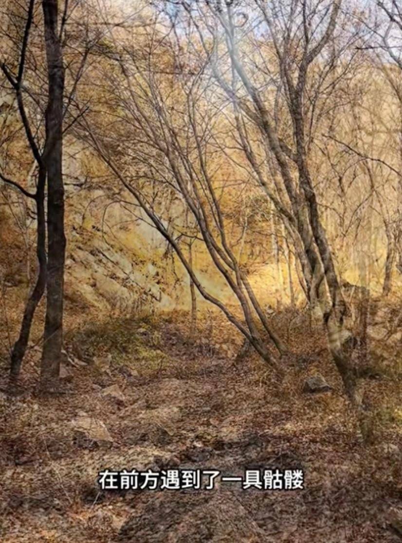 驴友景区登山遇见尸骨<strong></p>
<p>hotcoin交易平台</strong>，山西霍州警方：为简易墓葬，排除刑事案件