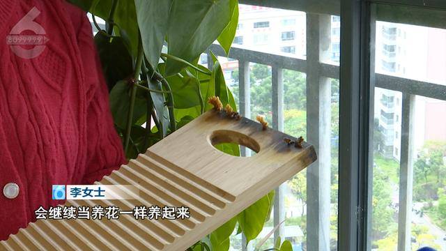 “可以蒸蛋”！昆明一女子家中搓衣板上长菌<strong></p>
<p>炒原油交易平台</strong>，品种竟是……