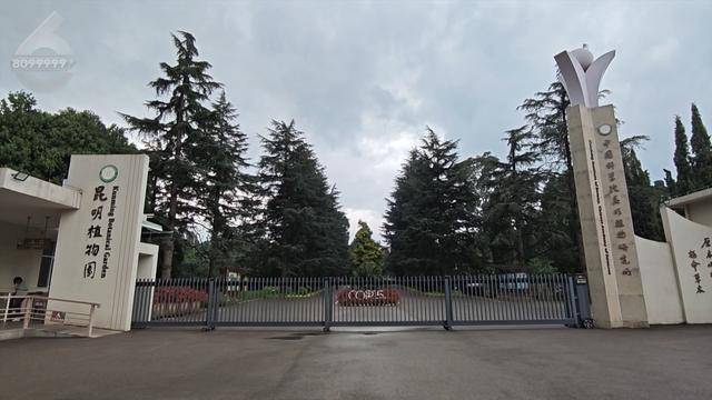 “可以蒸蛋”！昆明一女子家中搓衣板上长菌<strong></p>
<p>炒原油交易平台</strong>，品种竟是……