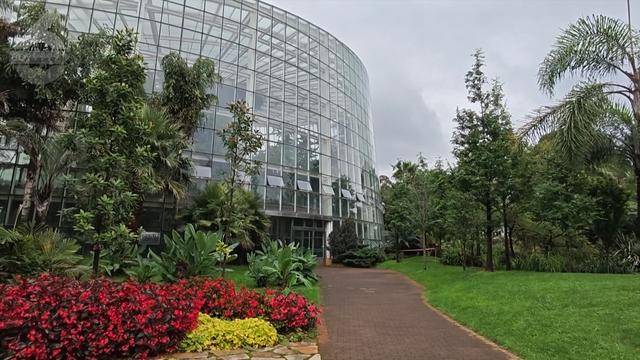 “可以蒸蛋”！昆明一女子家中搓衣板上长菌<strong></p>
<p>炒原油交易平台</strong>，品种竟是……