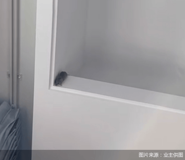 老鼠乱窜、直饮水发黄<strong></p>
<p>友利平台</strong>，北京业主千万元买的和锦诚园居然是这样