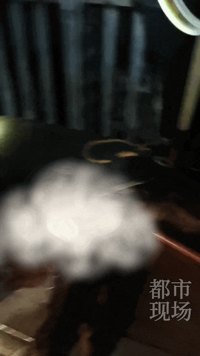 江西一高校惊现野猪<strong></p>
<p>东盟货币服务平台</strong>，最后在食堂被成功抓获