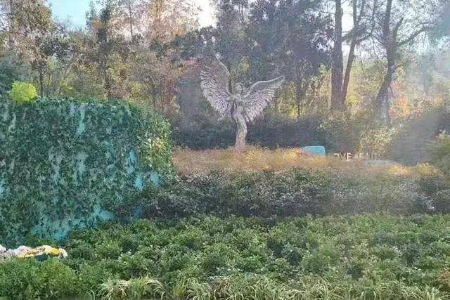 李玟武汉墓地杂草丛生<strong></p>
<p>交易mm平台</strong>？其姐姐发文回应