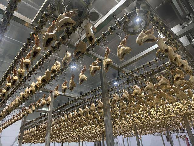 “没有一只鸡能活着飞出滑县”<strong></p>
<p>BFX合约平台</strong>，道口烧鸡开启新纪元