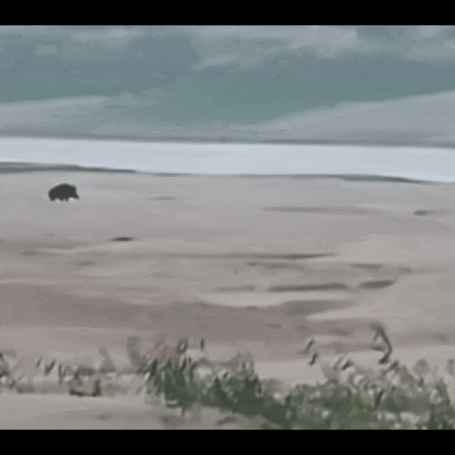 武汉江边已出现<strong></p>
<p>公信宝gxs交易平台</strong>！看到请马上远离