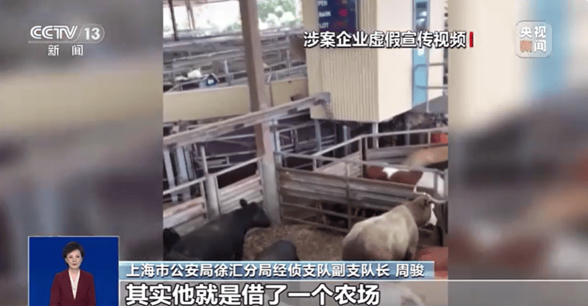 300万元变6万斤牛肉<strong></p>
<p>exx交易平台下载</strong>，吃不到也卖不了，什么情况？