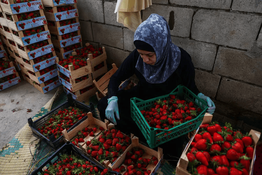 叙利亚战火持续<strong></p>
<p>群币交易平台</strong>，攻下阿勒颇的反对派武装到底什么来头？在下一盘什么棋？