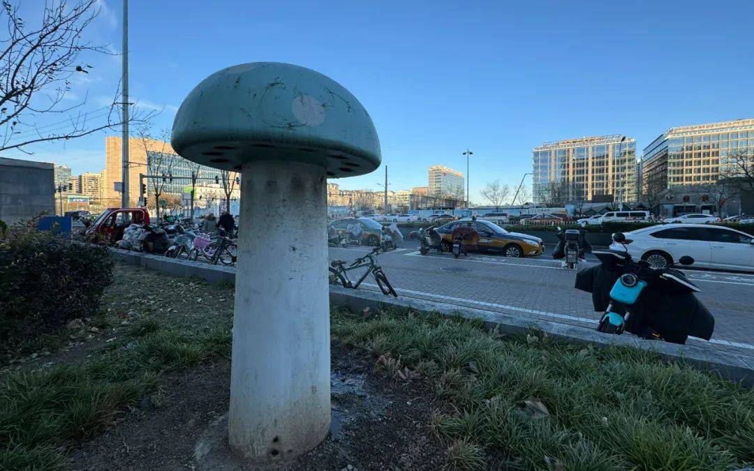 北京街头2米高神秘“蘑菇”<strong></p>
<p>韶关交易中心服务平台</strong>，你见过吗？网友大胆猜想……