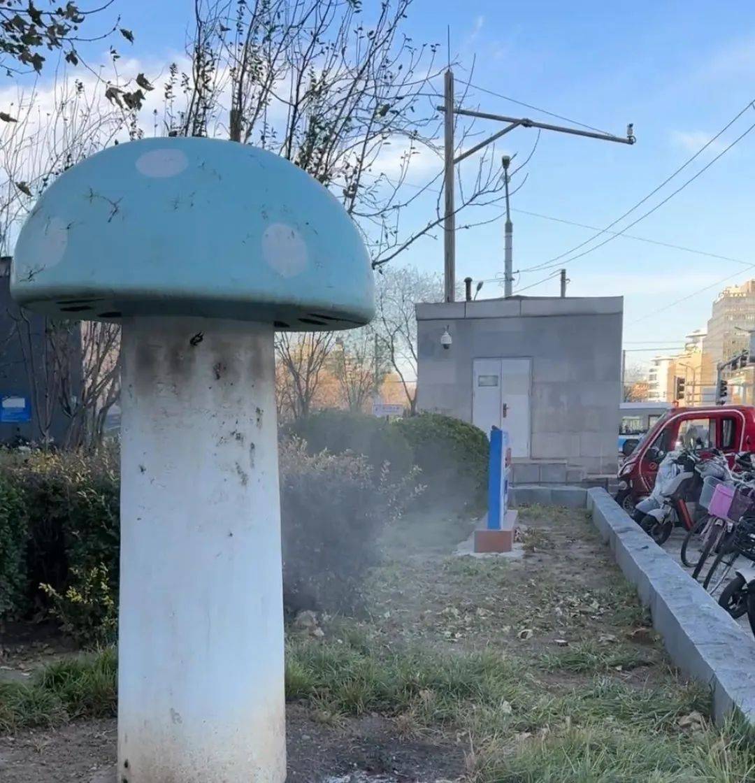 北京街头2米高神秘“蘑菇”<strong></p>
<p>韶关交易中心服务平台</strong>，你见过吗？网友大胆猜想……