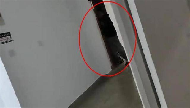 上海一高校男生晚上撞开女生寝室门<strong></p>
<p>币币通交易平台</strong>，校方：醉酒后走错了