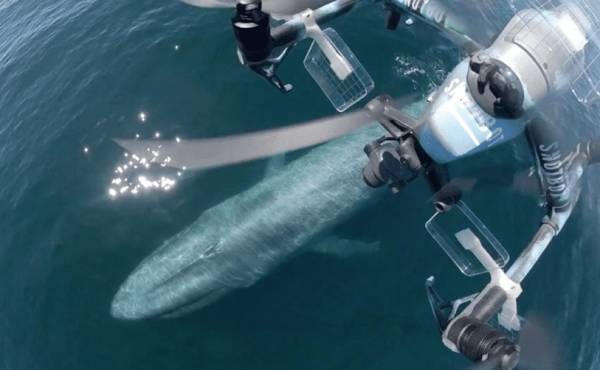 美国科学家震惊：封杀中国无人机<strong></p>
<p>币网交易平台</strong>，“简直是疯了！”