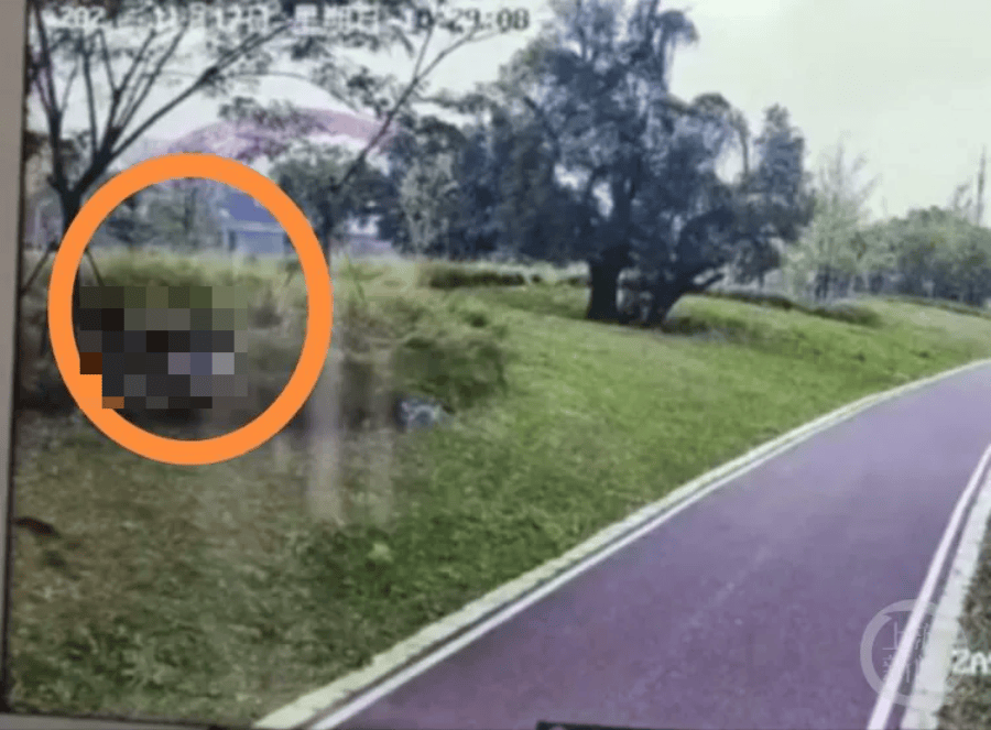 钟某某、王某某被采取刑事强制措施<strong></p>
<p>币网交易平台</strong>！