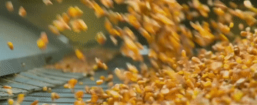 2024<strong></p>
<p>币圈平台</strong>，总书记同人民在一起｜强农助振兴