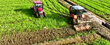 2024<strong></p>
<p>币圈平台</strong>，总书记同人民在一起｜强农助振兴