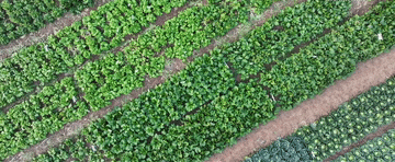 2024<strong></p>
<p>币圈平台</strong>，总书记同人民在一起｜强农助振兴