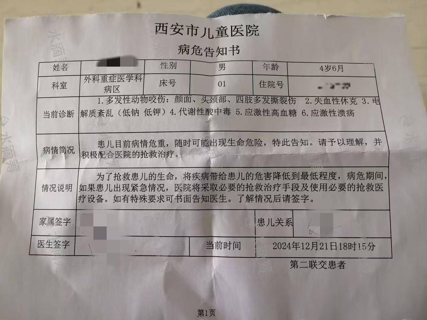 西安男童遭恶犬咬伤病危，父亲称其右眼或保不住！警方回应