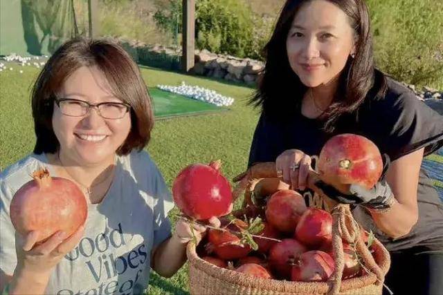 万万没想到<strong></p>
<p>币圈平台</strong>，“丁克”了半辈子的徐静蕾，如今却成了人生赢家