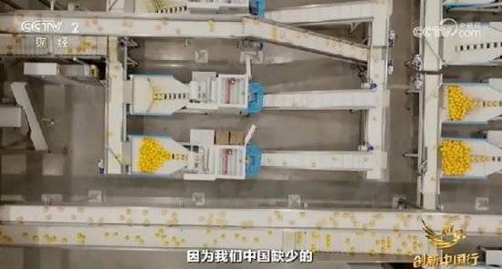 2024年末央视再度专访钟睒睒<strong></p>
<p>币圈交流平台</strong>，背后有何深意？