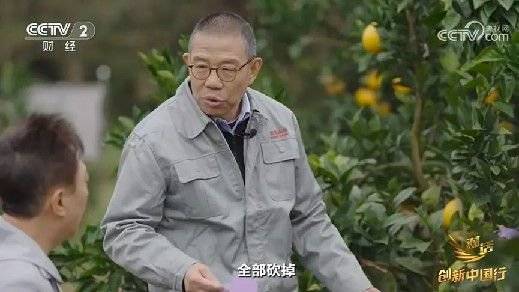 2024年末央视再度专访钟睒睒<strong></p>
<p>币圈交流平台</strong>，背后有何深意？