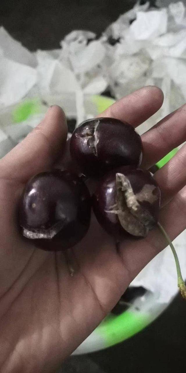 车厘子喂鸡惹争议 四川汉源果农回应：旧视频<strong></p>
<p>炒币正规平台</strong>，喂鸡的是“次果”