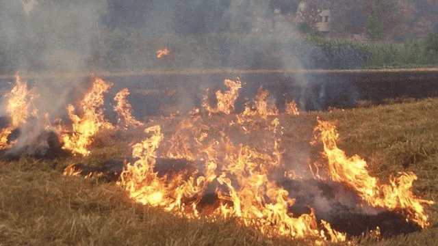 唐山各乡镇、村落一律禁止<strong></p>
<p>数字虚拟资产货币交易平台</strong>！多名村民被罚