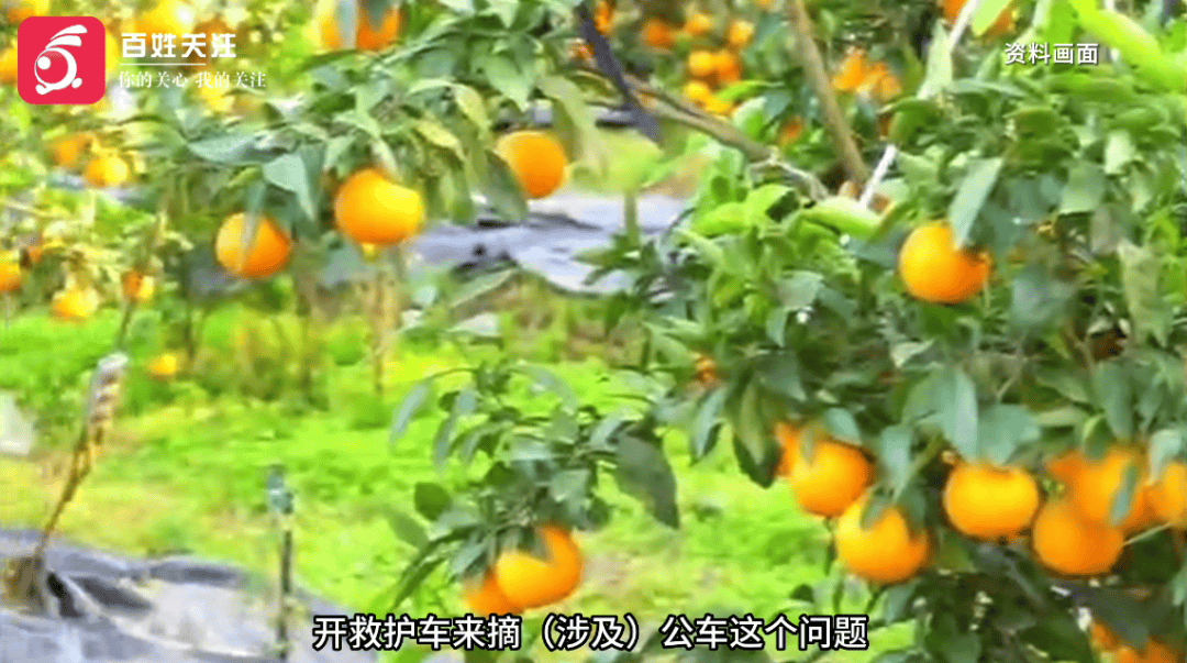 救护车被曝开到地里装柑橘<strong></p>
<p>数字虚拟资产货币交易平台</strong>？当地卫健局回应