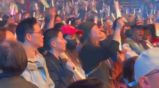 刘德华演唱会实录：表演滑跪失败<strong></p>
<p>交易服务平台</strong>，甄子丹舒淇任达华台下蹦迪