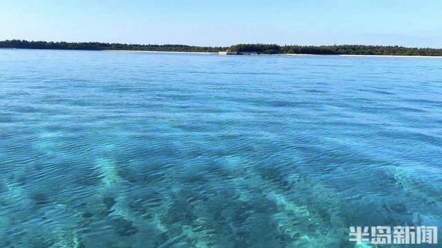 青岛女子买下70万平米小岛后续来了：目前没打算私有<strong></p>
<p>zzex交易平台</strong>，七八月份将带员工到岛上团建