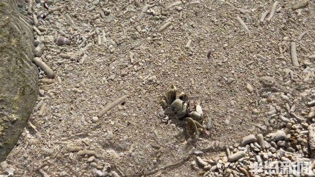 青岛女子买下70万平米小岛后续来了：目前没打算私有<strong></p>
<p>zzex交易平台</strong>，七八月份将带员工到岛上团建