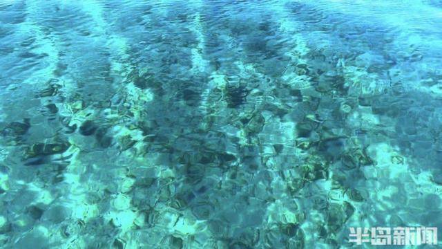 青岛女子买下70万平米小岛后续来了：目前没打算私有<strong></p>
<p>zzex交易平台</strong>，七八月份将带员工到岛上团建