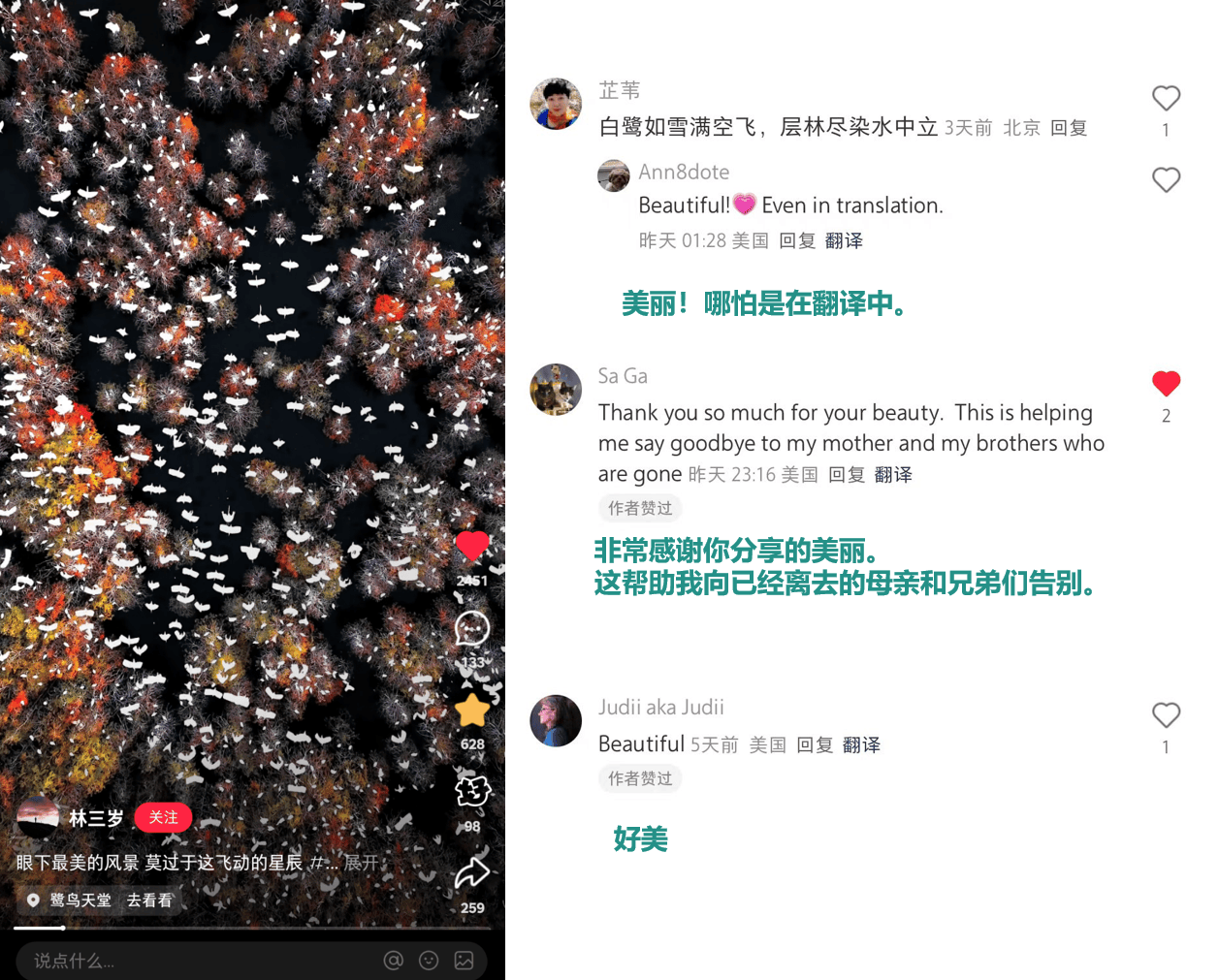 小红书上的外国网友<strong></p>
<p>平台交易网站有哪些</strong>，都在点赞佛山什么？