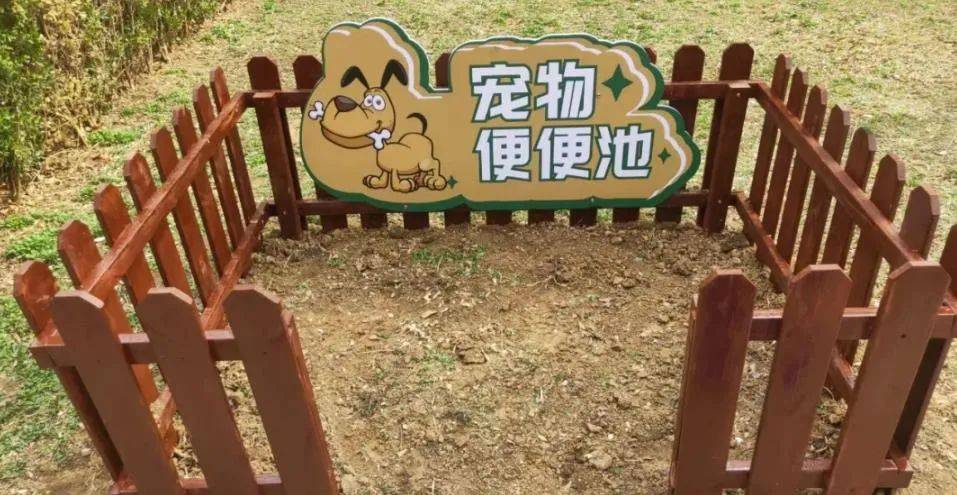 家门口成“狗公厕”<strong></p>
<p>波菜币交易平台</strong>，女子喷驱狗剂却被犬主告上法庭