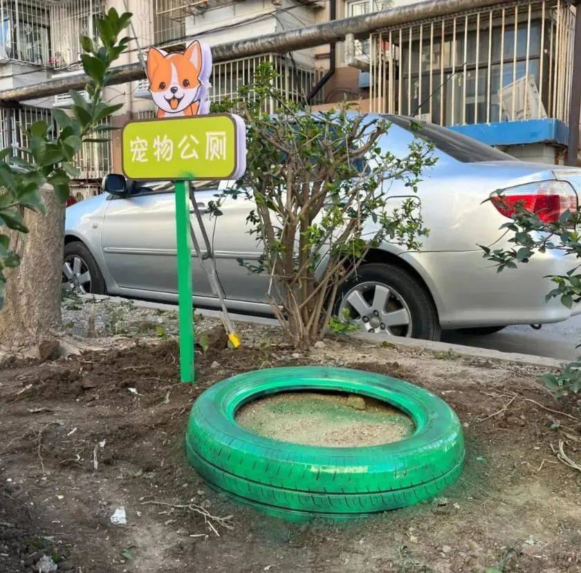 家门口成“狗公厕”<strong></p>
<p>波菜币交易平台</strong>，女子喷驱狗剂却被犬主告上法庭