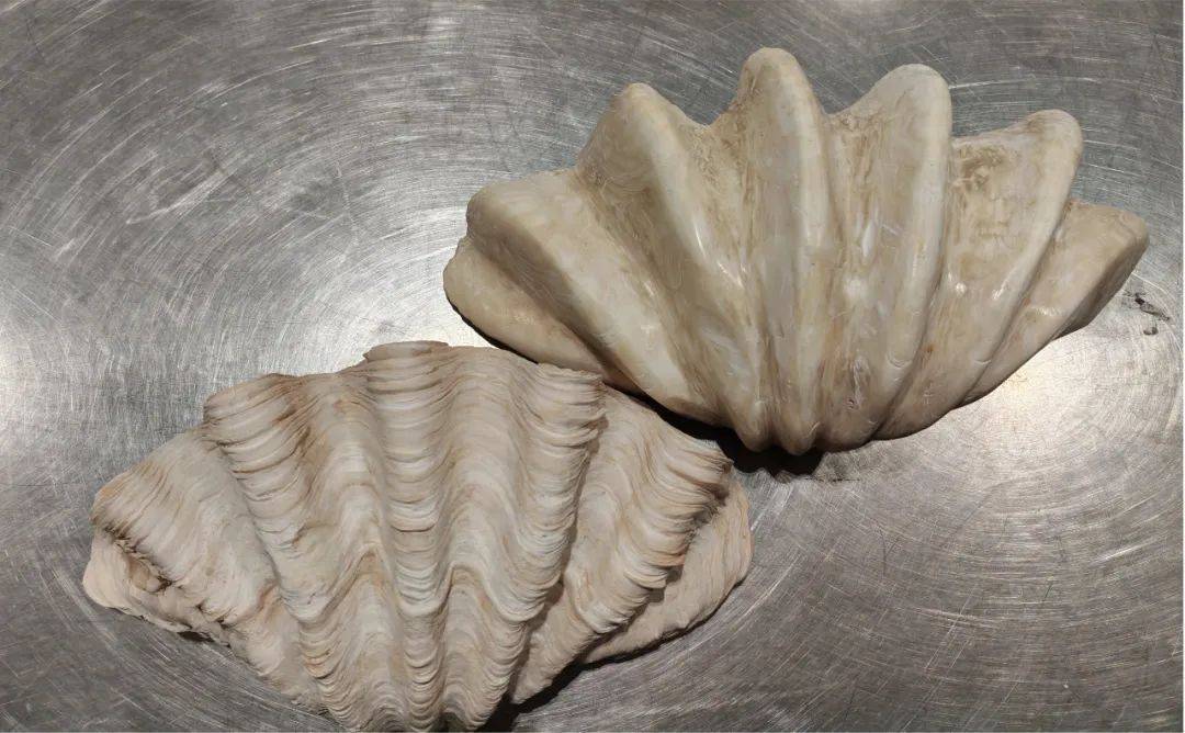 北京大兴机场海关查获砗磲2件<strong></p>
<p>中币交易平台</strong>，共7.838千克