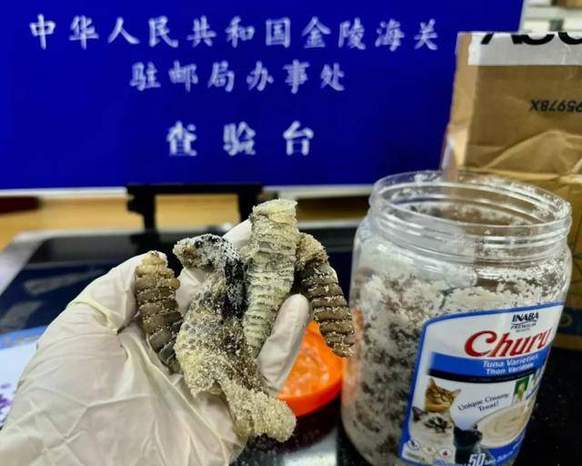 离谱！2.4斤生腌响尾蛇<strong></p>
<p>币信交易平台</strong>，被藏在零食罐里……