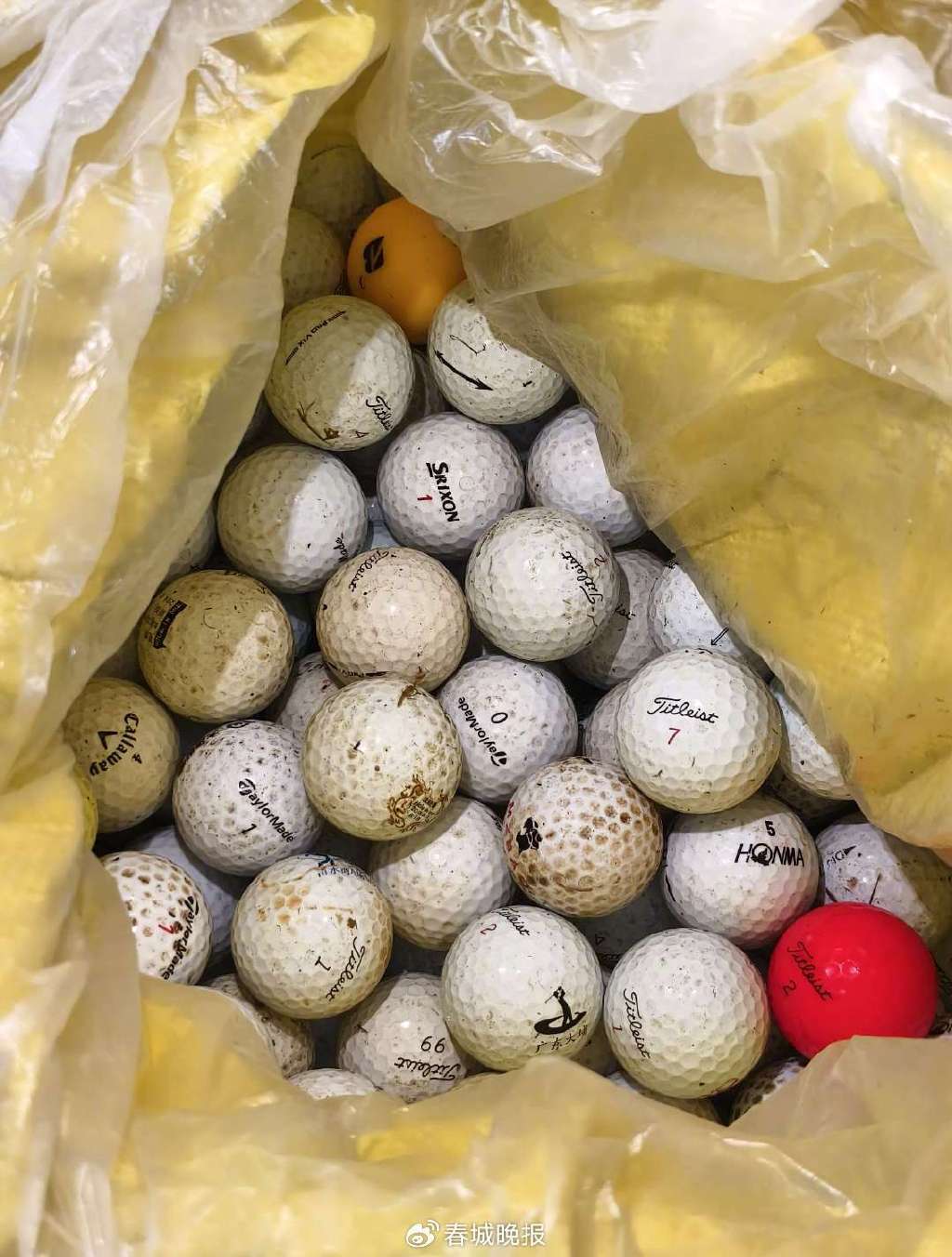 3人穿潜水服偷捞高尔夫球<strong></p>
<p>币市交易平台</strong>，警方用时4小时人赃并获