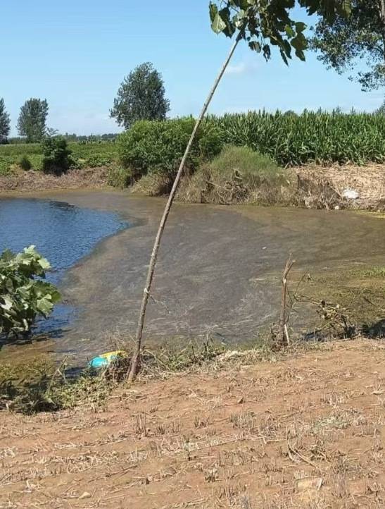 “女生遭侵犯落水被阻挡上岸至溺亡”案续：检方提起抗诉<strong></p>
<p>三大交易平台</strong>，建议死刑