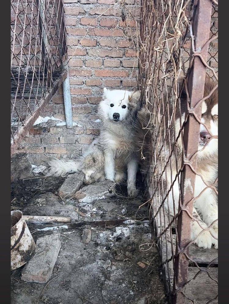 千万粉丝训犬师网红潘宏账号内容被一夜清空<strong></p>
<p>加密货币交易平台排名</strong>，园区所在地官方：正调查