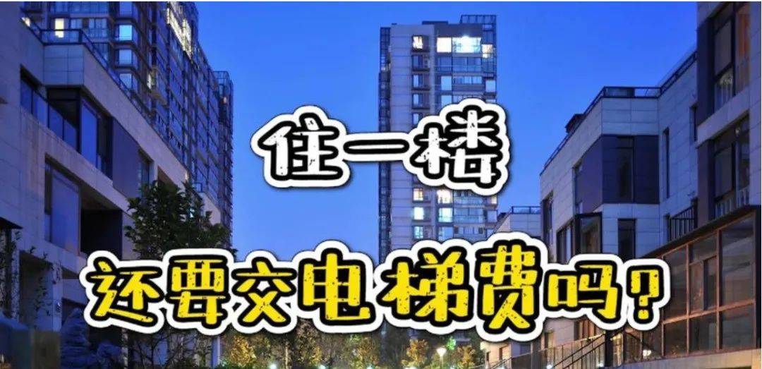 空置房要交物业费<strong></p>
<p>炒平台币</strong>，一楼要交电梯费的依据在这里！