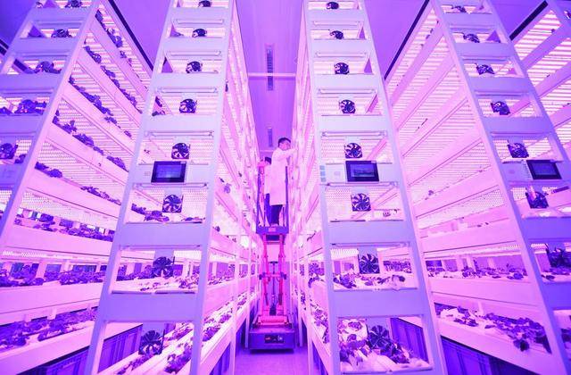 新华社记者带你听两会｜听<strong></p>
<p>公信宝哪个平台交易</strong>，“新”的活力