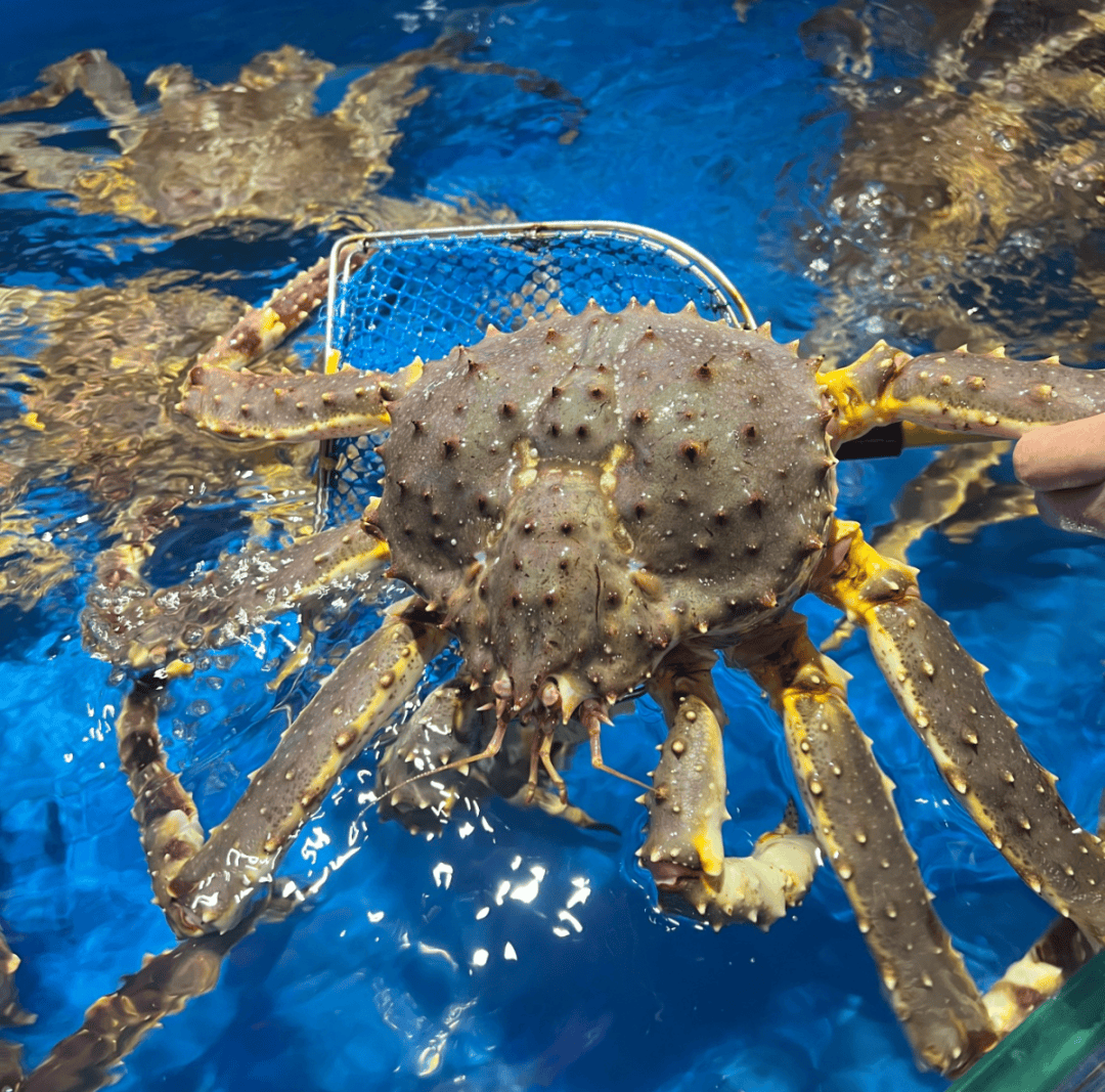 “蟹刺不同！”顾客发现帝王蟹被掉包<strong></p>
<p>北京产权交易中心平台</strong>，把商家告了！判决结果……