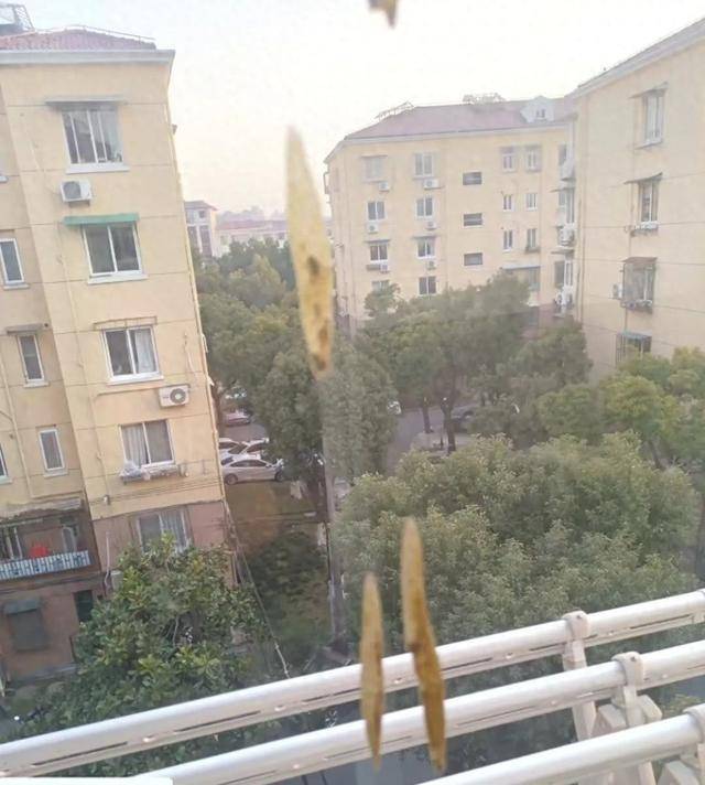 热闻|孩子从楼上抛下湿纸团<strong></p>
<p>北京产权交易中心平台</strong>，家长赔了7000元！高空抛物应承担哪些法律责任？