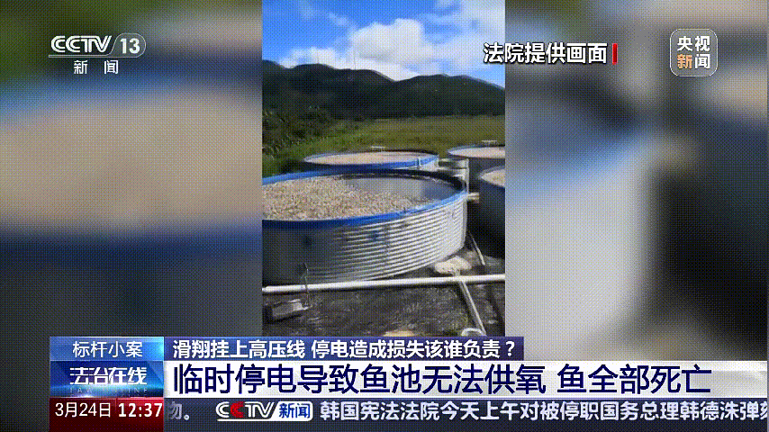 深圳女子被挂高压线！停电救援<strong></p>
<p>抹茶平台</strong>，9池鱼死光！他怒上法庭……