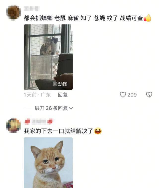 老鼠掉进泳池<strong></p>
<p>抹茶平台</strong>，广东大叔出动鸡猫狗团队，结果全被老鼠吓跑！网友坐不住纷纷晒战绩