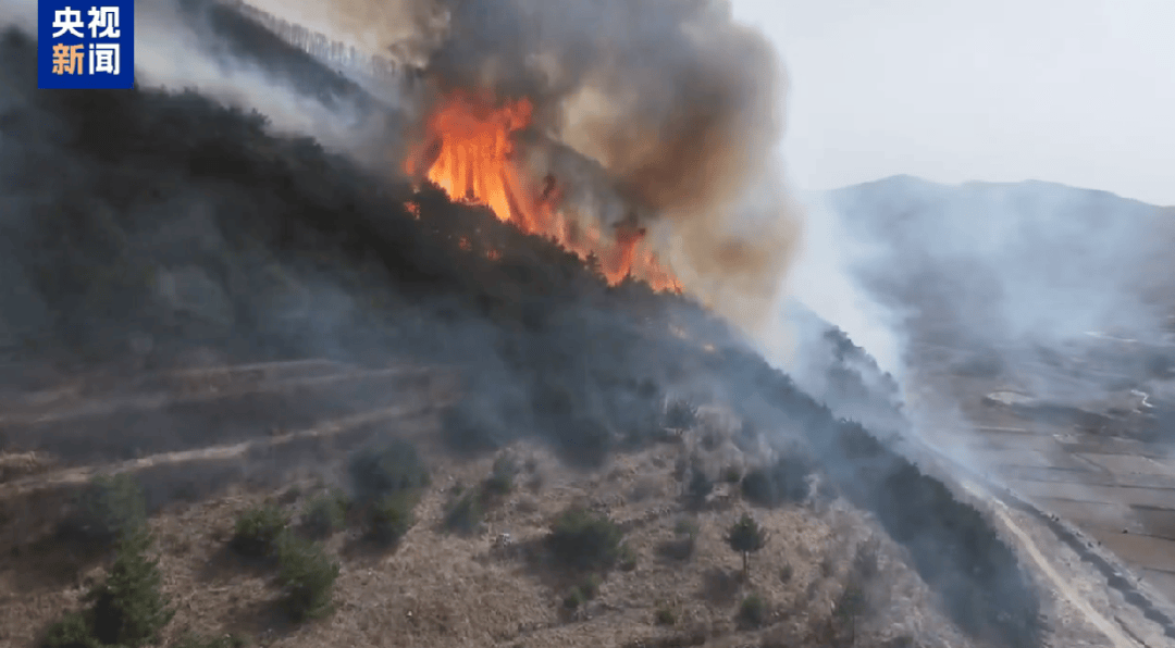 山西发生一起火情<strong></p>
<p>抹茶平台</strong>！最新消息：纵火人员已被抓获