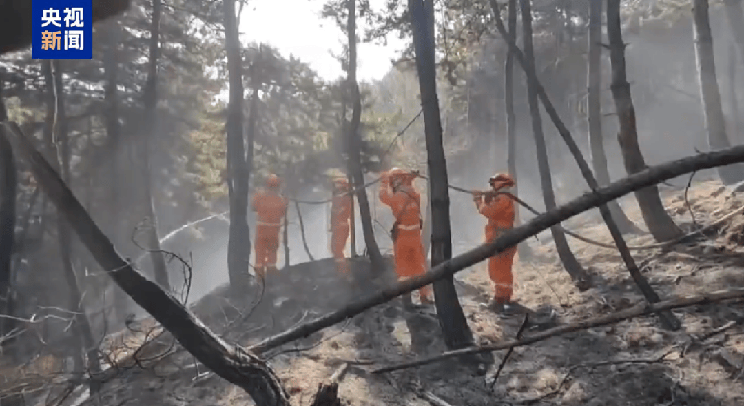 山西发生一起火情<strong></p>
<p>抹茶平台</strong>！最新消息：纵火人员已被抓获