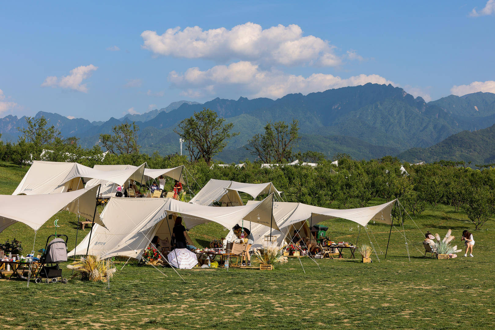 原价499元的天幕现在卖148元<strong></p>
<p>币创网交易平台</strong>，二手平台现露营装备低价甩卖