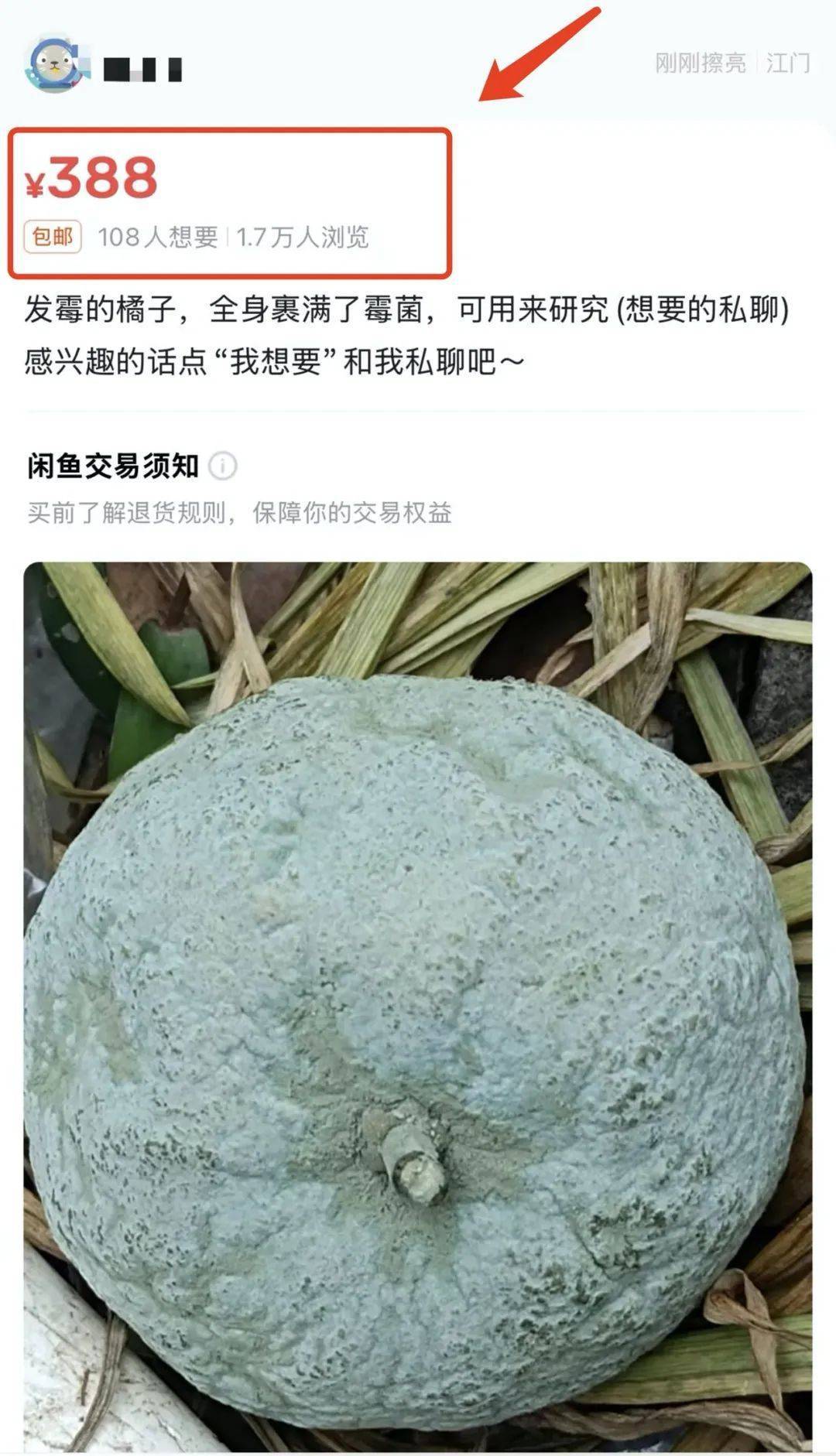 突然火了<strong></p>
<p>币创网交易平台</strong>！有人卖500元一个！网友：后悔扔了……